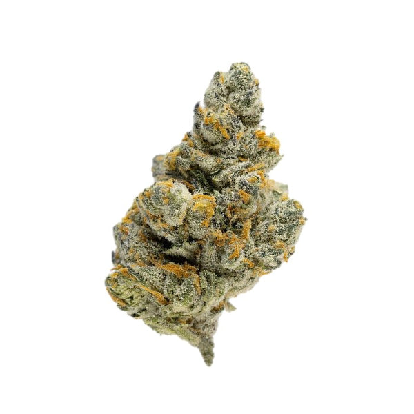 Aspen Dreams Aspen Dreams