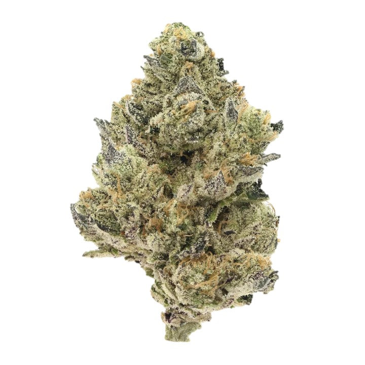 Pure Kush – Zaza Distro